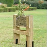  Vivarium : jardinage pour enfants